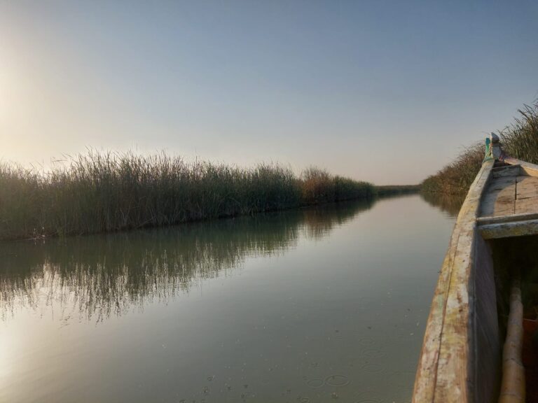 A peaceful view from a boat navigating a narrow waterway lined with tall reeds under a hazy sky.