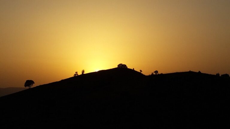 Silhouette of a hill with sparse trees against a sunset sky, the sun peaking over the crest.