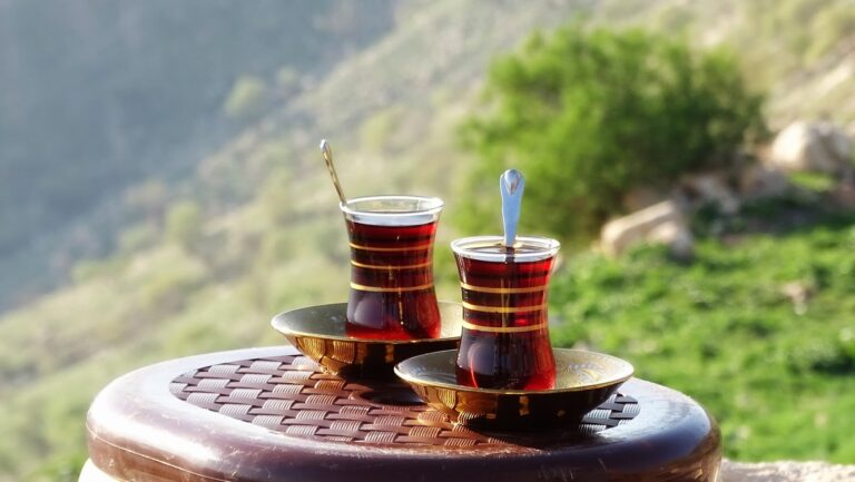 Two glasses of red tea on golden saucers sit on a brown table against a blurred green hilly backdrop.